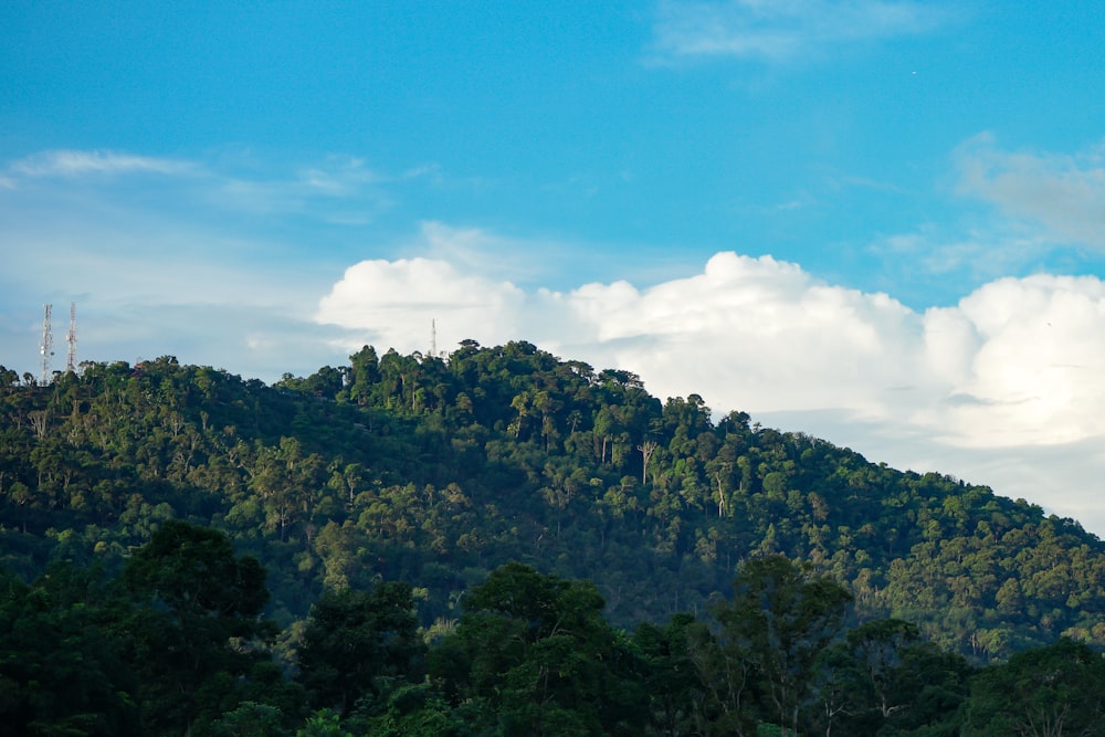 green trees on mountain under blue sky during daytime