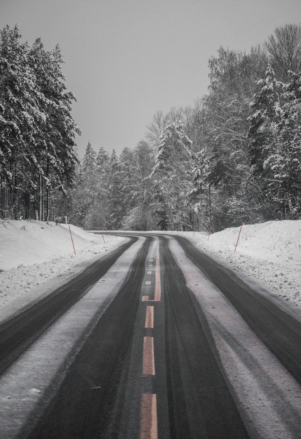 estrada de asfalto preto entre árvores cobertas de neve