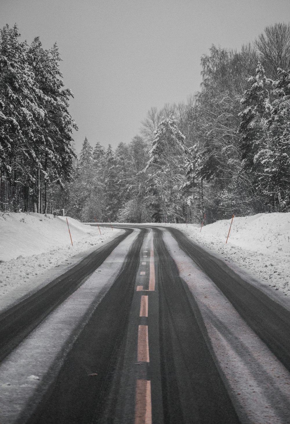 black asphalt road between snow covered trees