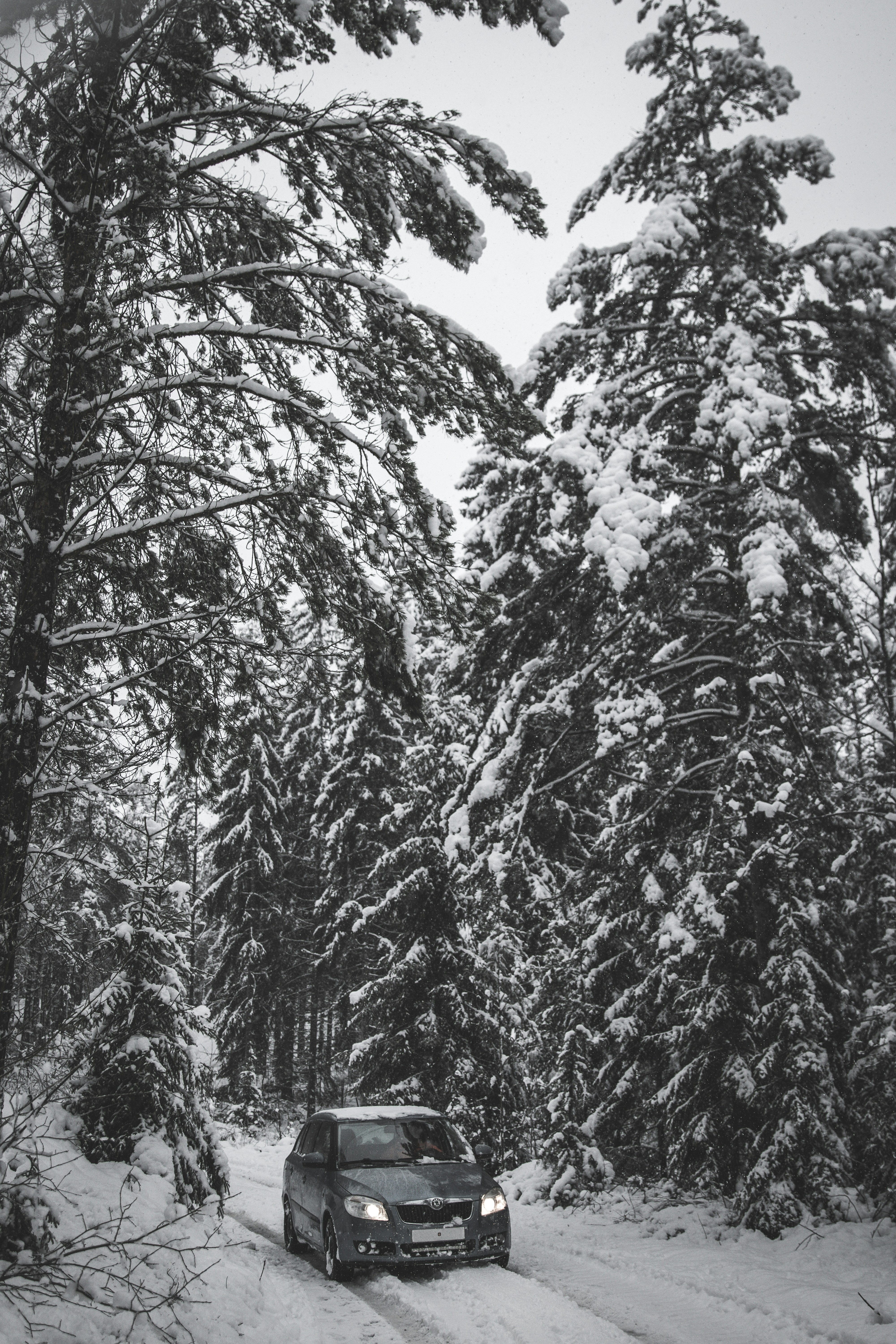 Photo by einfachlaurenz