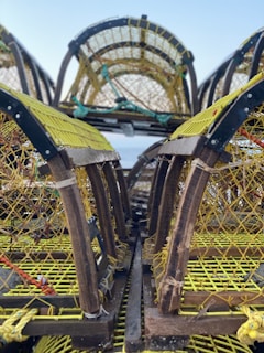 Close-up of humane traps set carefully along a building's foundation in Île-de-France