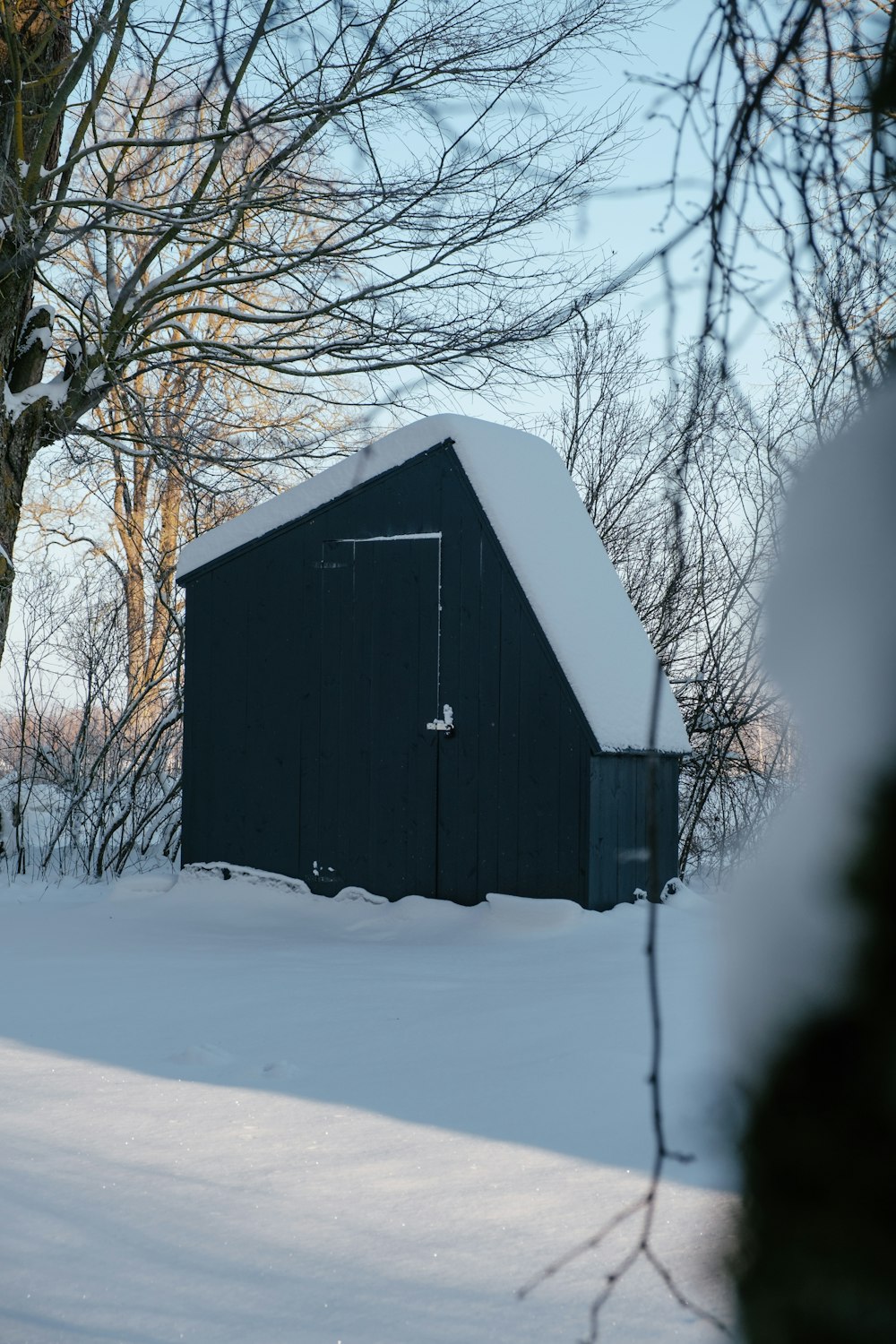 black wooden house near bare trees during daytime
