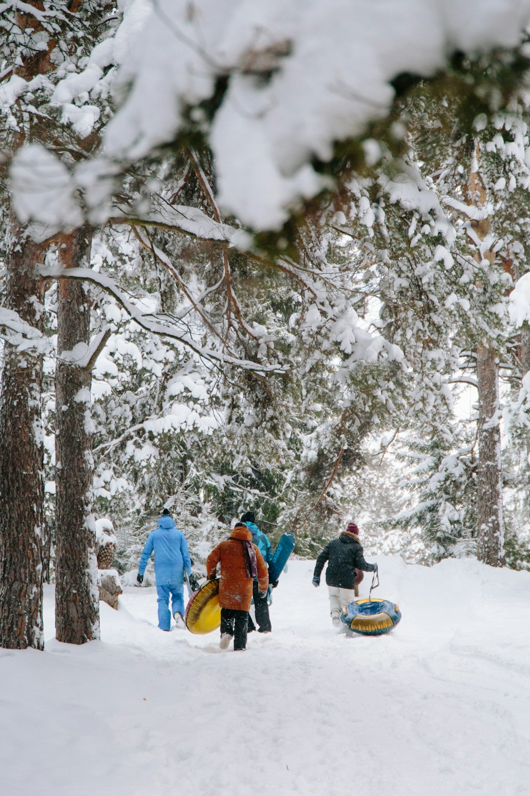 people in snow covered forest during daytime