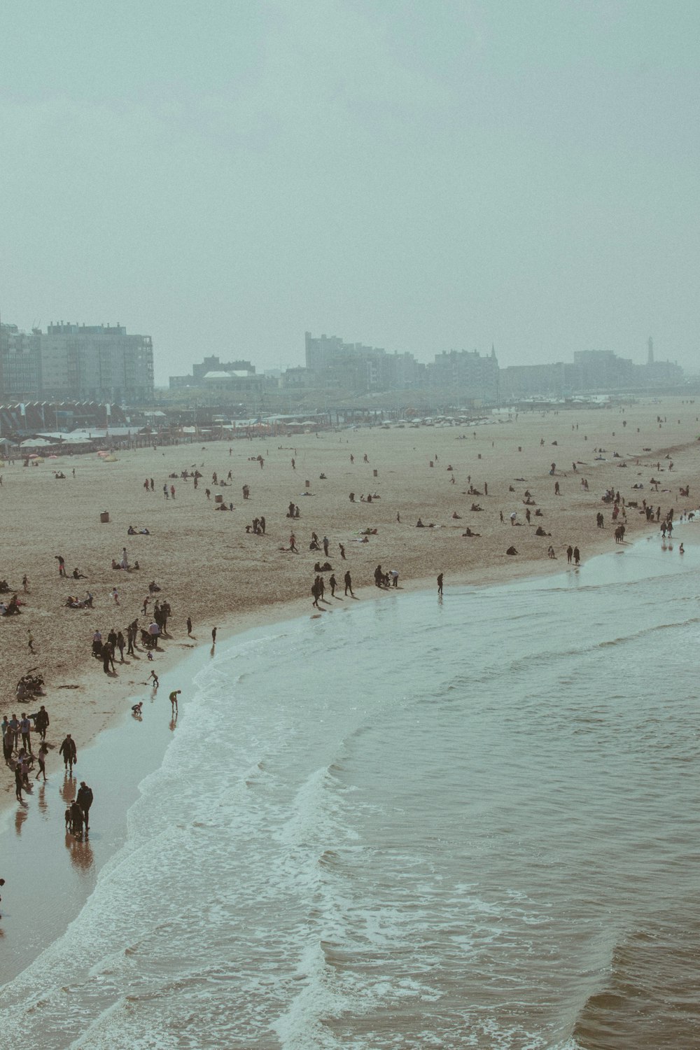 people on beach during daytime