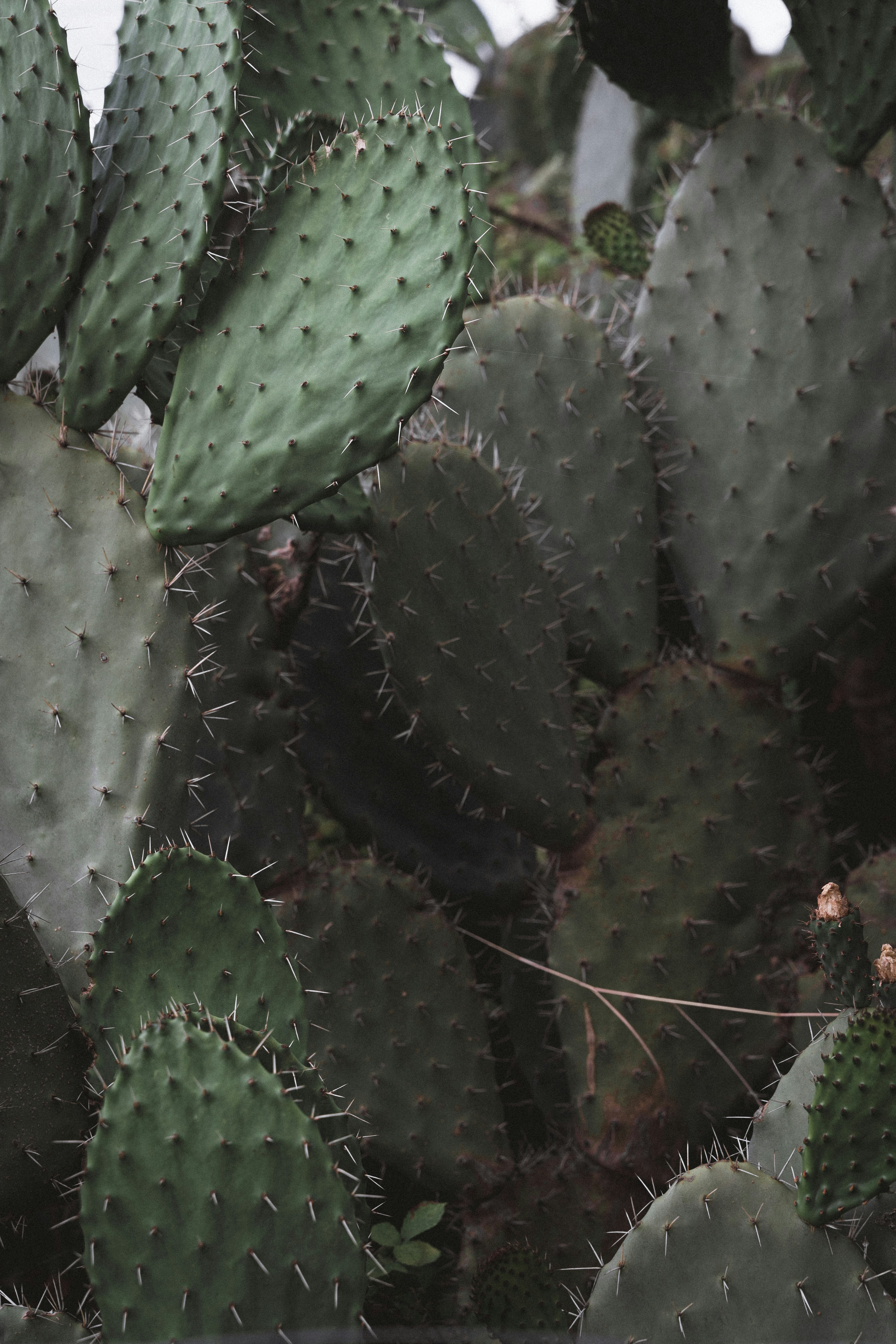 Photo by ludovicadri