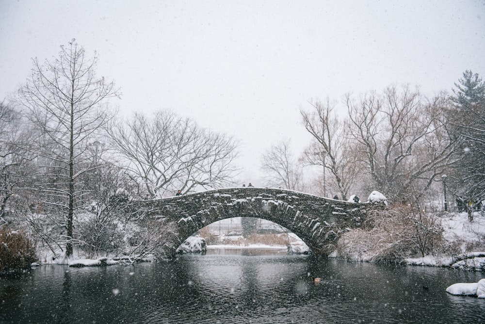 gray concrete bridge over river