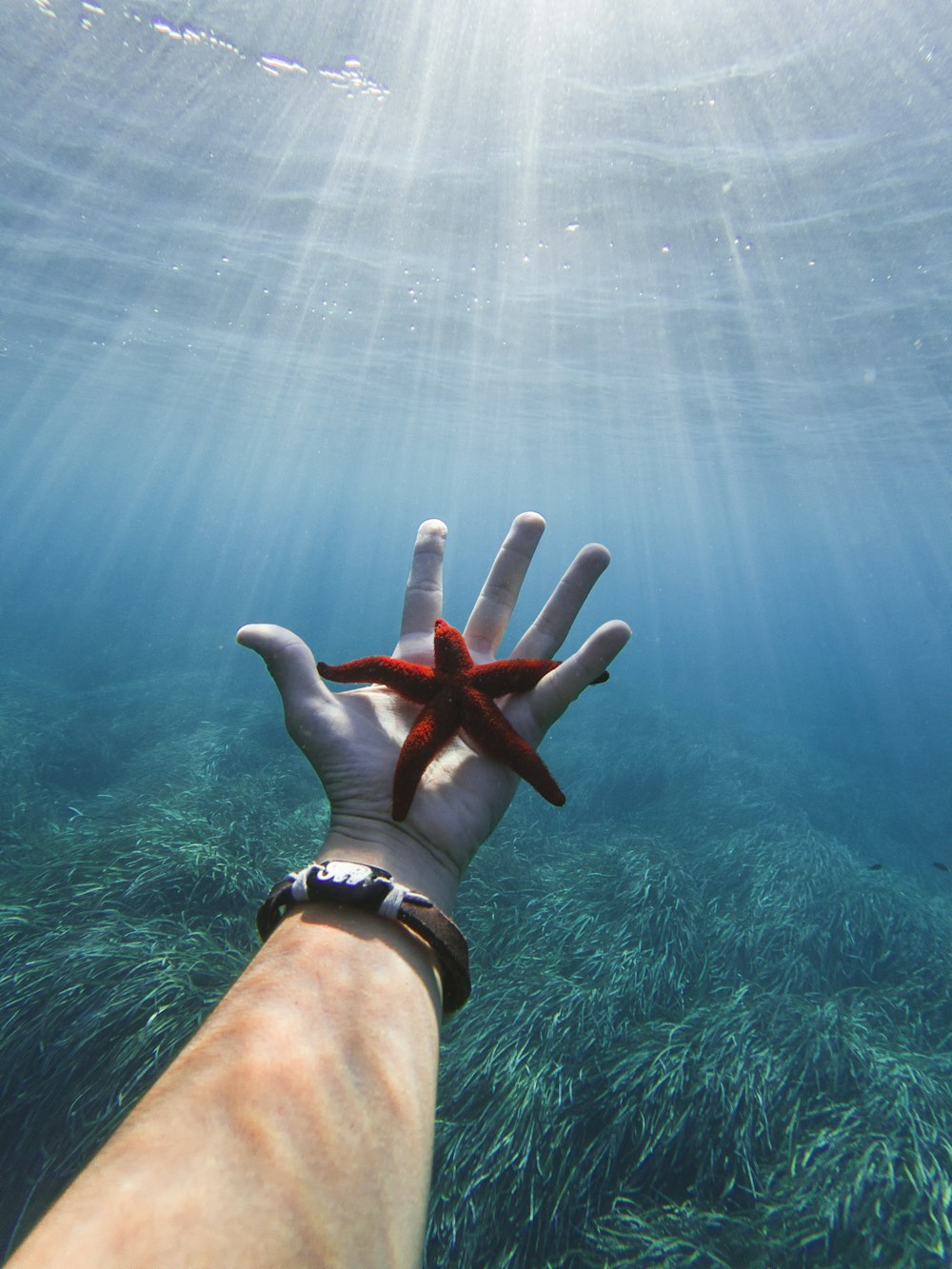 person in black shorts under water