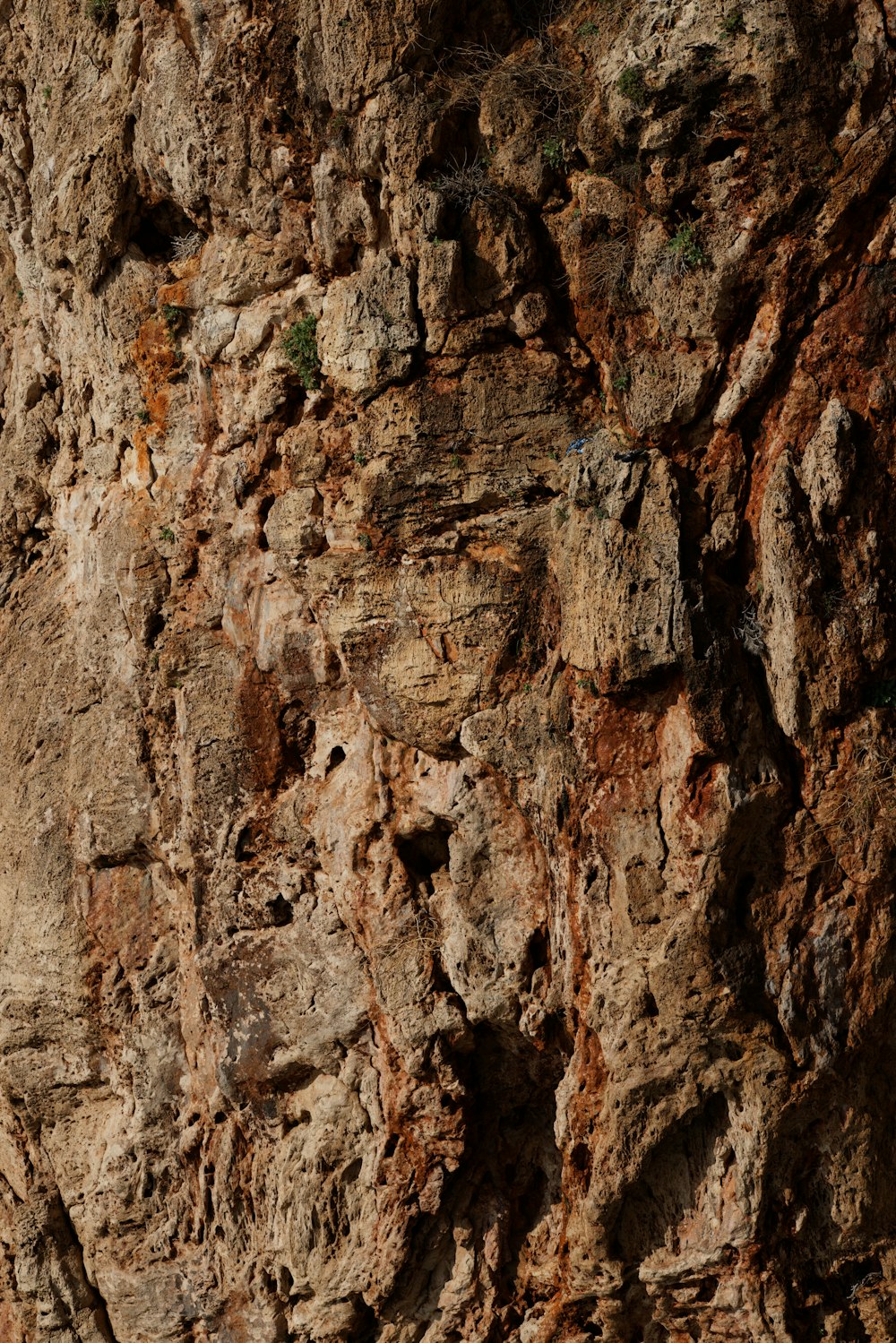 brown and gray rock formation