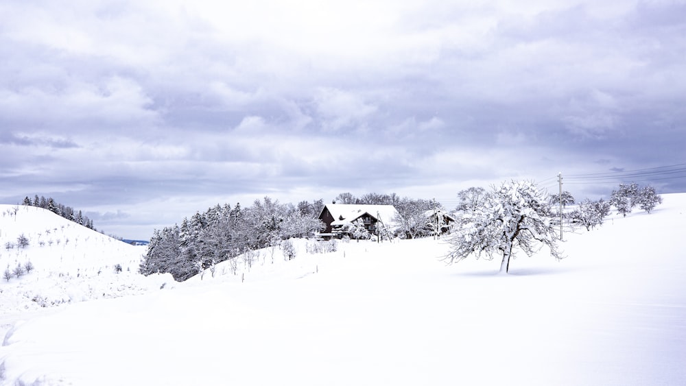 snow covered trees and house under cloudy sky during daytime