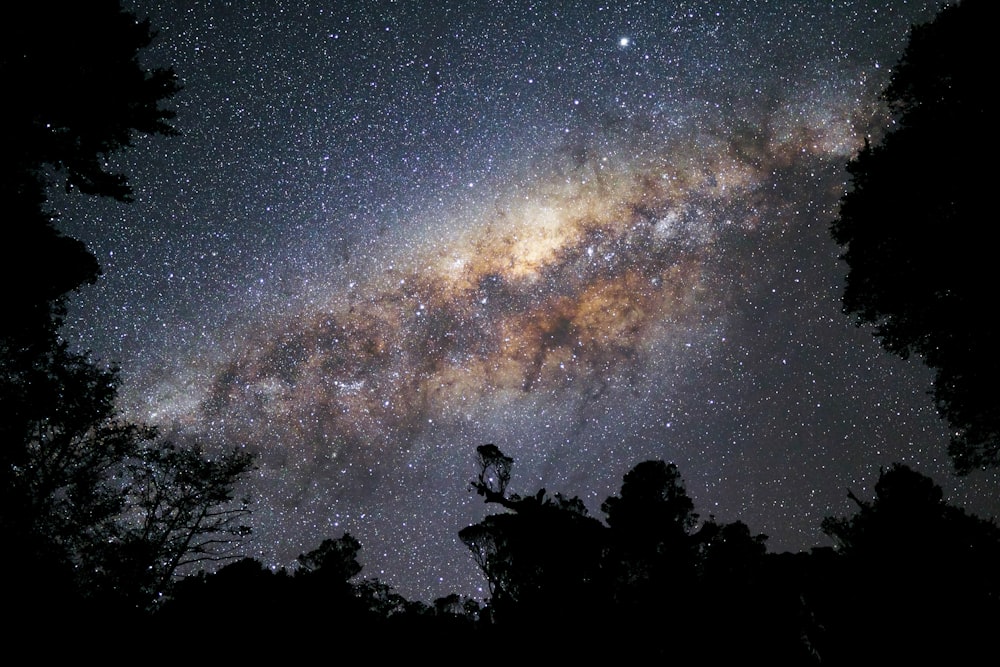 silhouette of people sitting on rock under starry night