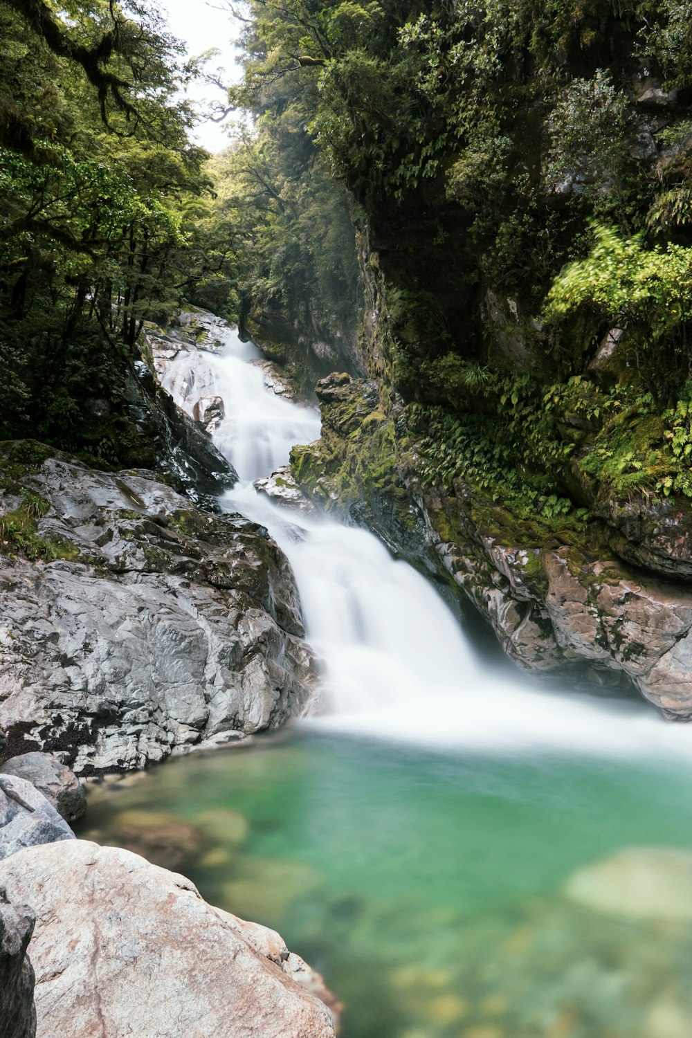 muschio verde sul fiume roccioso