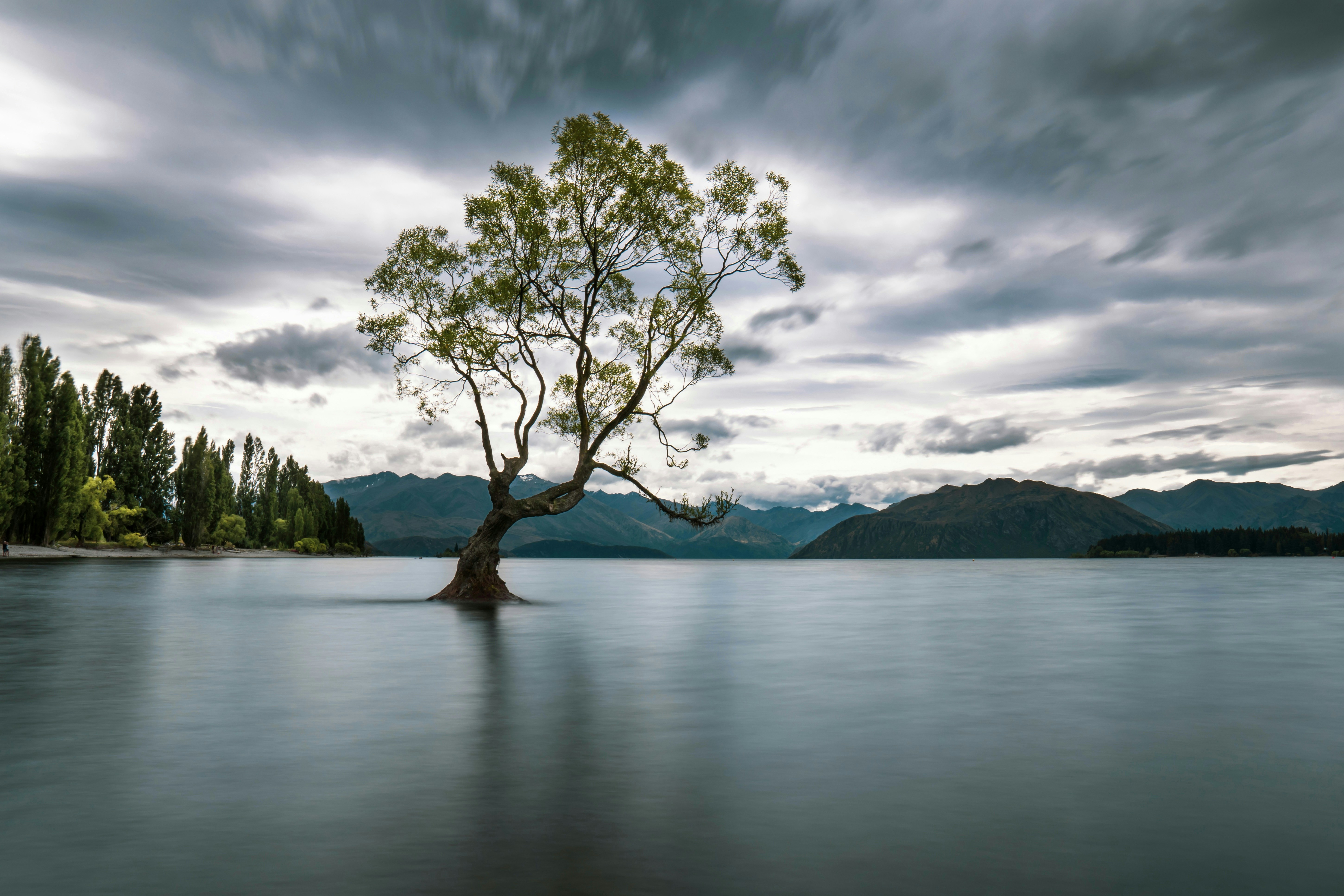 Stunning long-exposure image of the renowned Wanaka tree in NZ, growing in the lake itself. Supposedly grew from a tree branch which was used as a fence post many years ago. #ThatWanakaTree