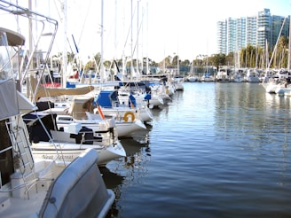 white and blue boats on sea during daytime