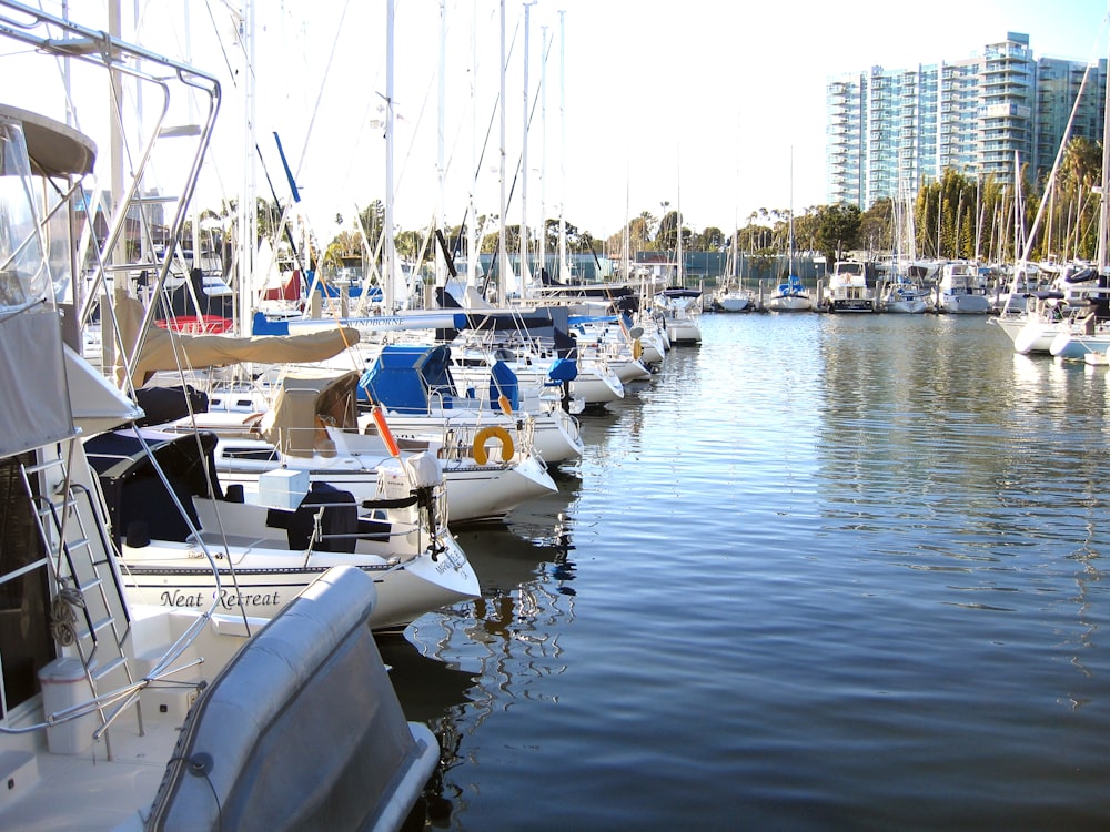 white and blue boats on sea during daytime