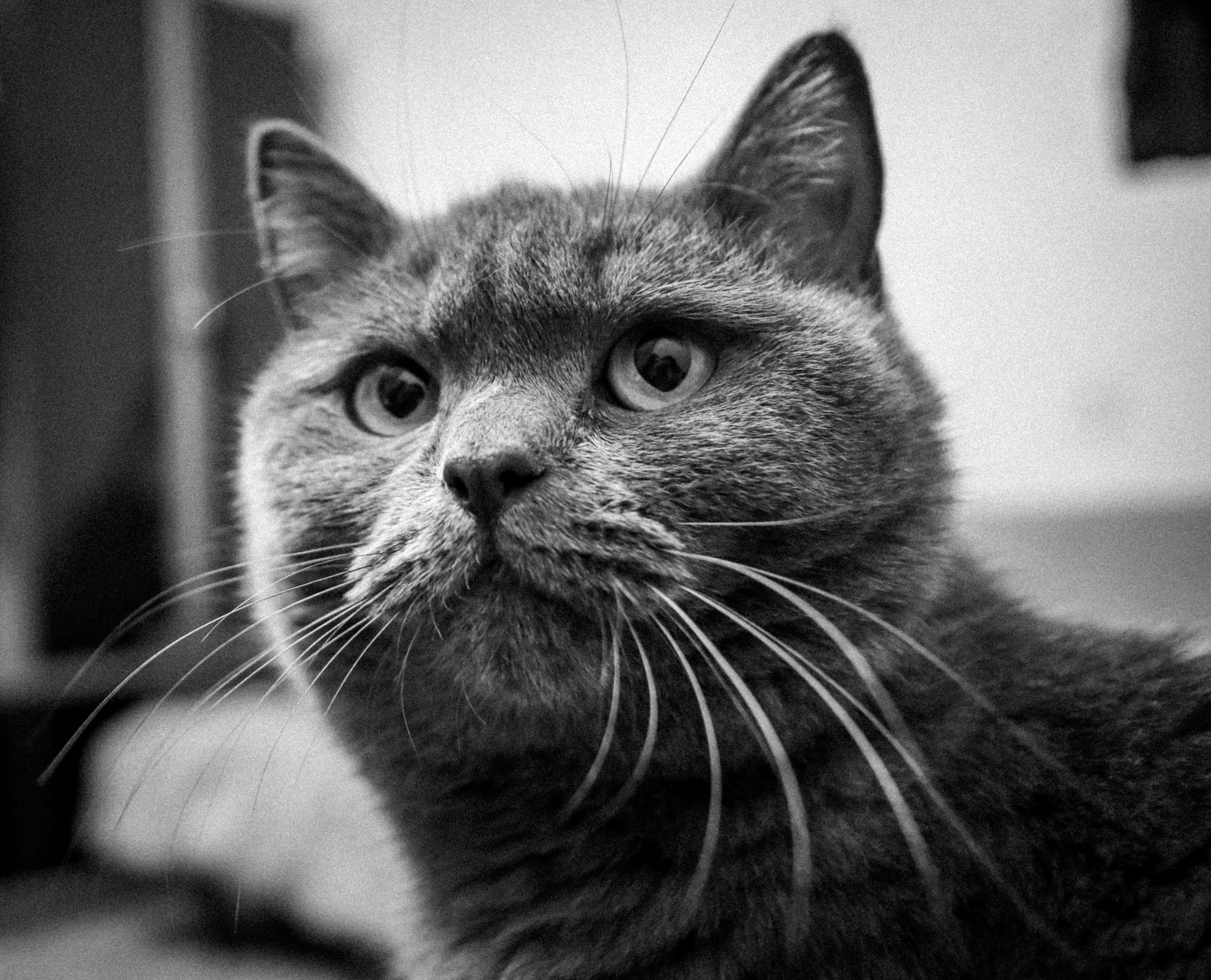 Photo by dsamatkulov