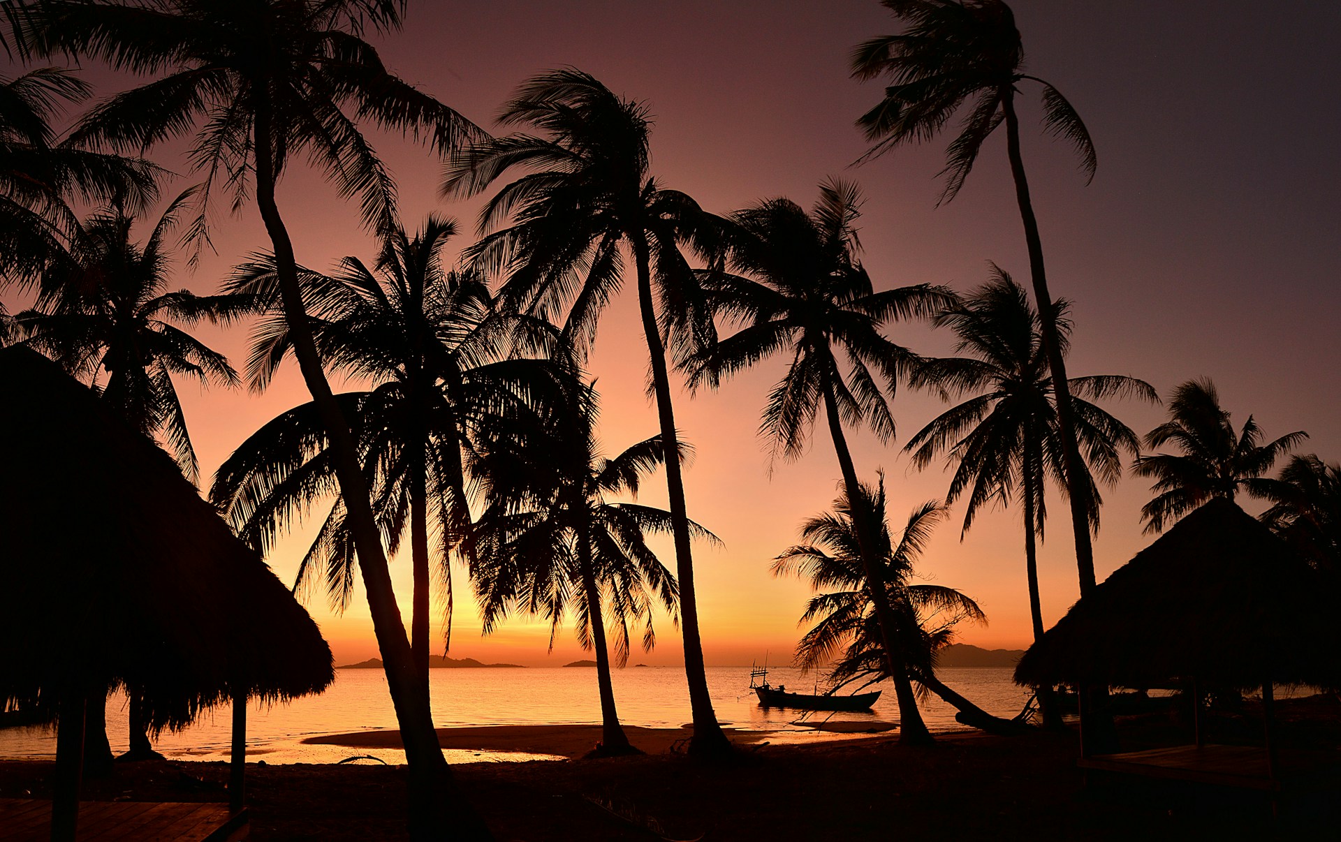 silhouette of coconut palm trees on beach during sunset