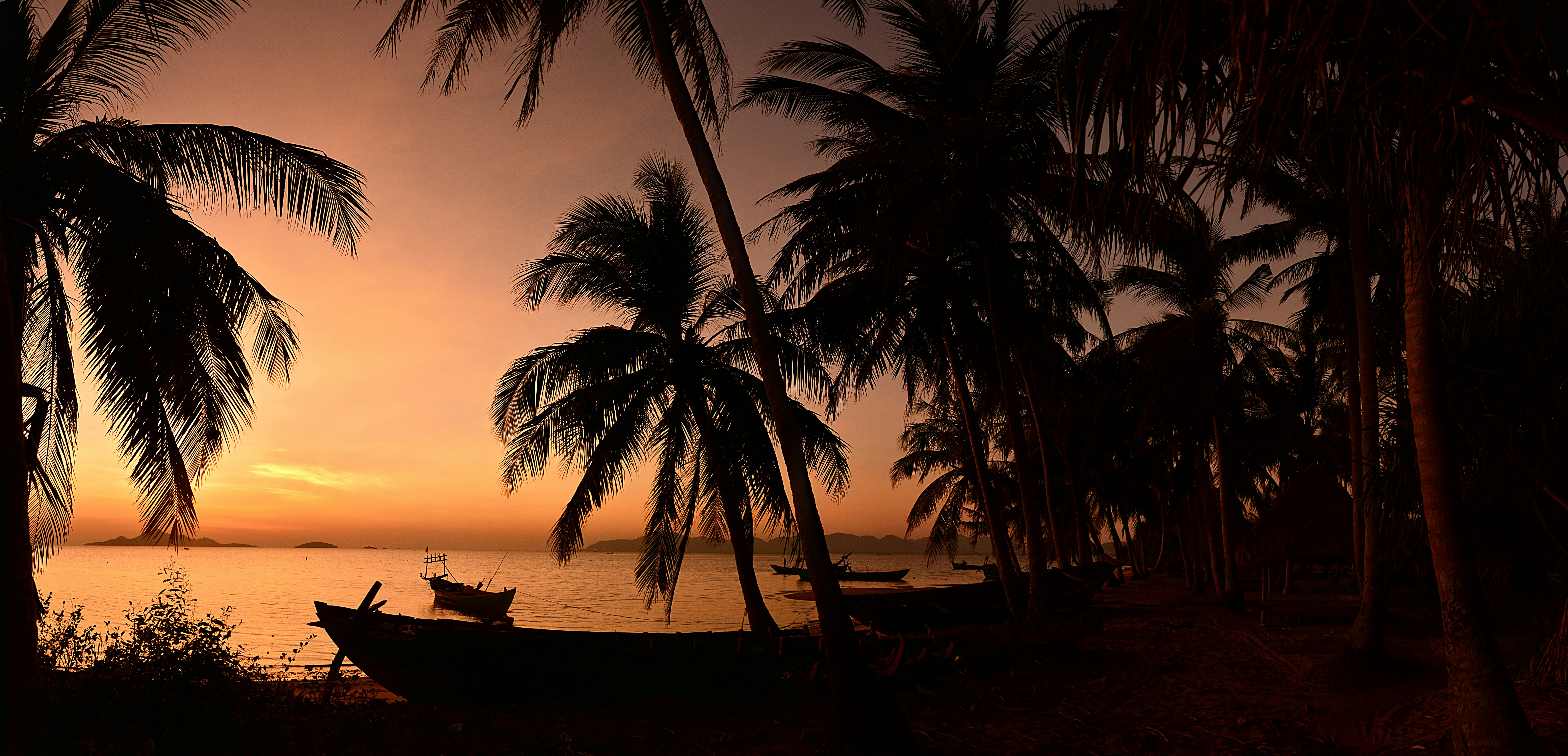 Photo by allphotobangkok