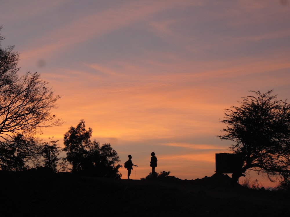 silhouette of 2 person standing on grass field during sunset