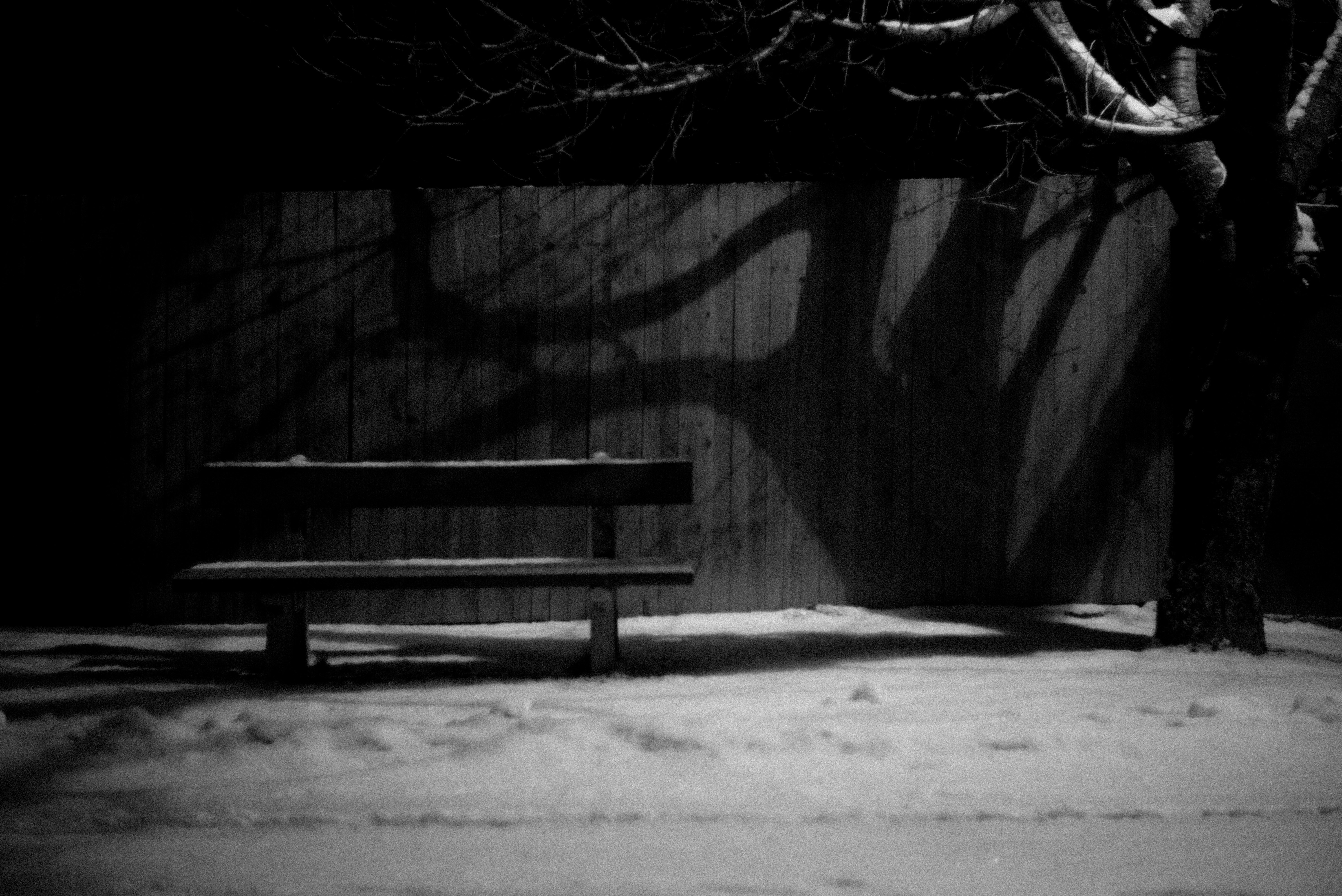 Banco en blanco y negro