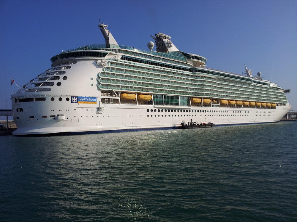 white cruise ship on sea during daytime