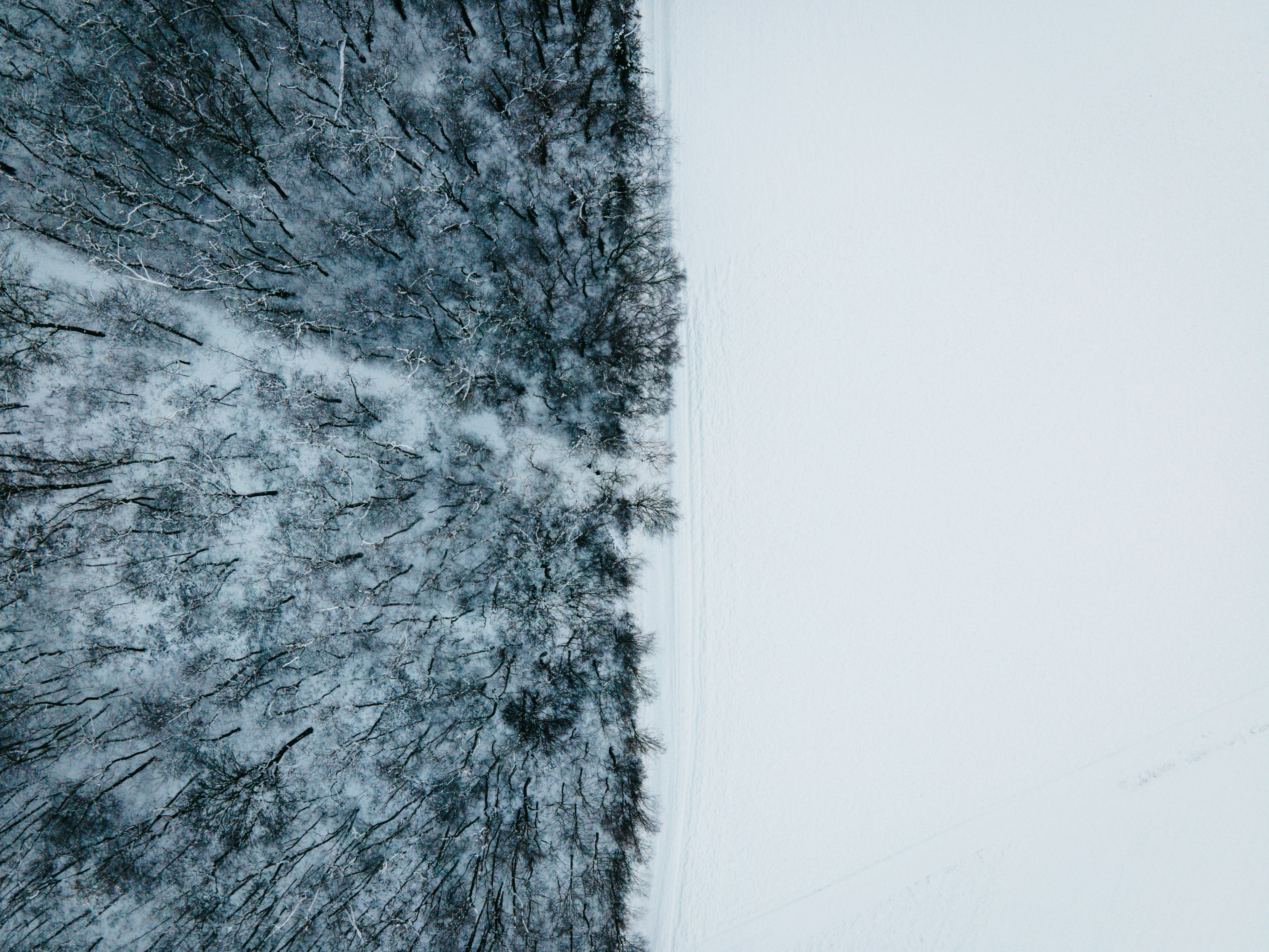 Photo by darabosralph