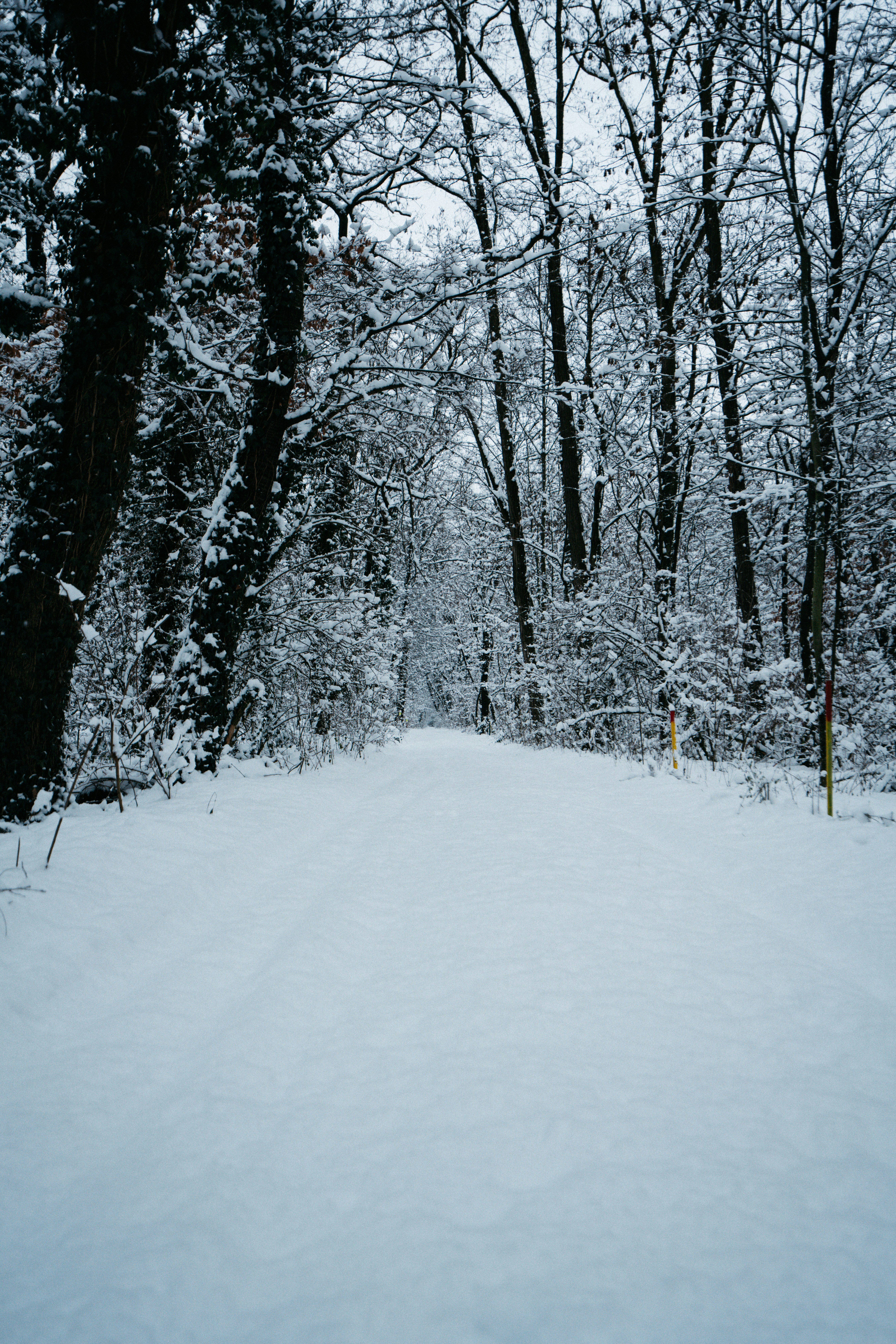 Photo by darabosralph