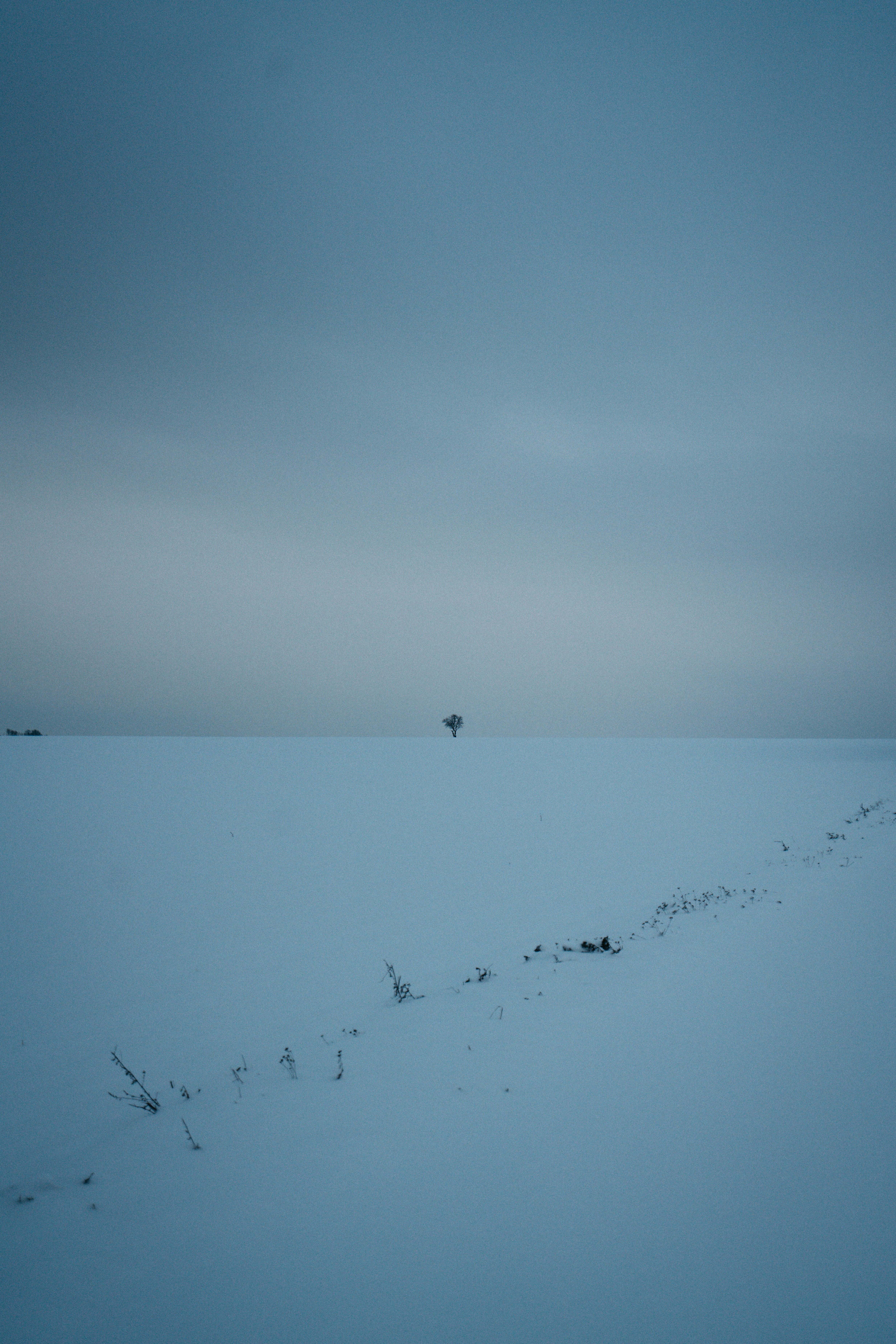 Photo by darabosralph