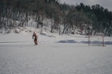 A person is ice skating and playing hockey on a snow-covered outdoor rink surrounded by trees. A hockey goal stands to the right of the skater. The background consists of a snowy wooded area with leafless and evergreen trees.