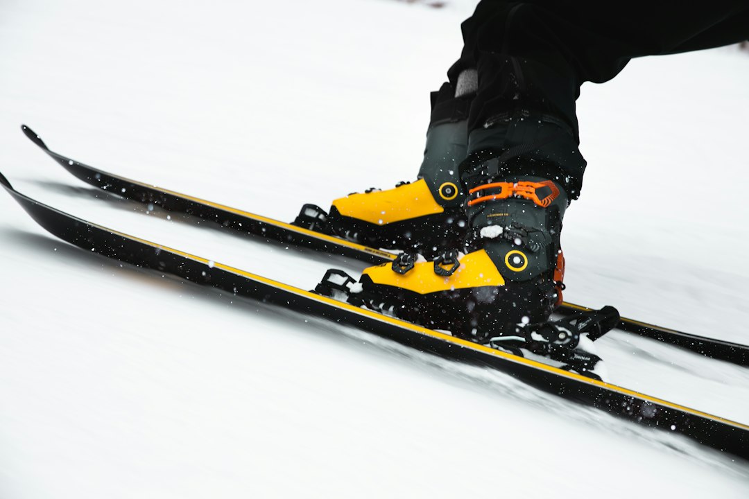 alpine skis closeup