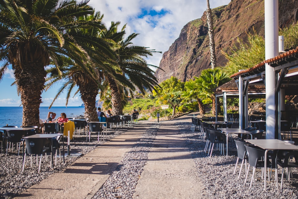 people sitting on chairs near beach during daytime