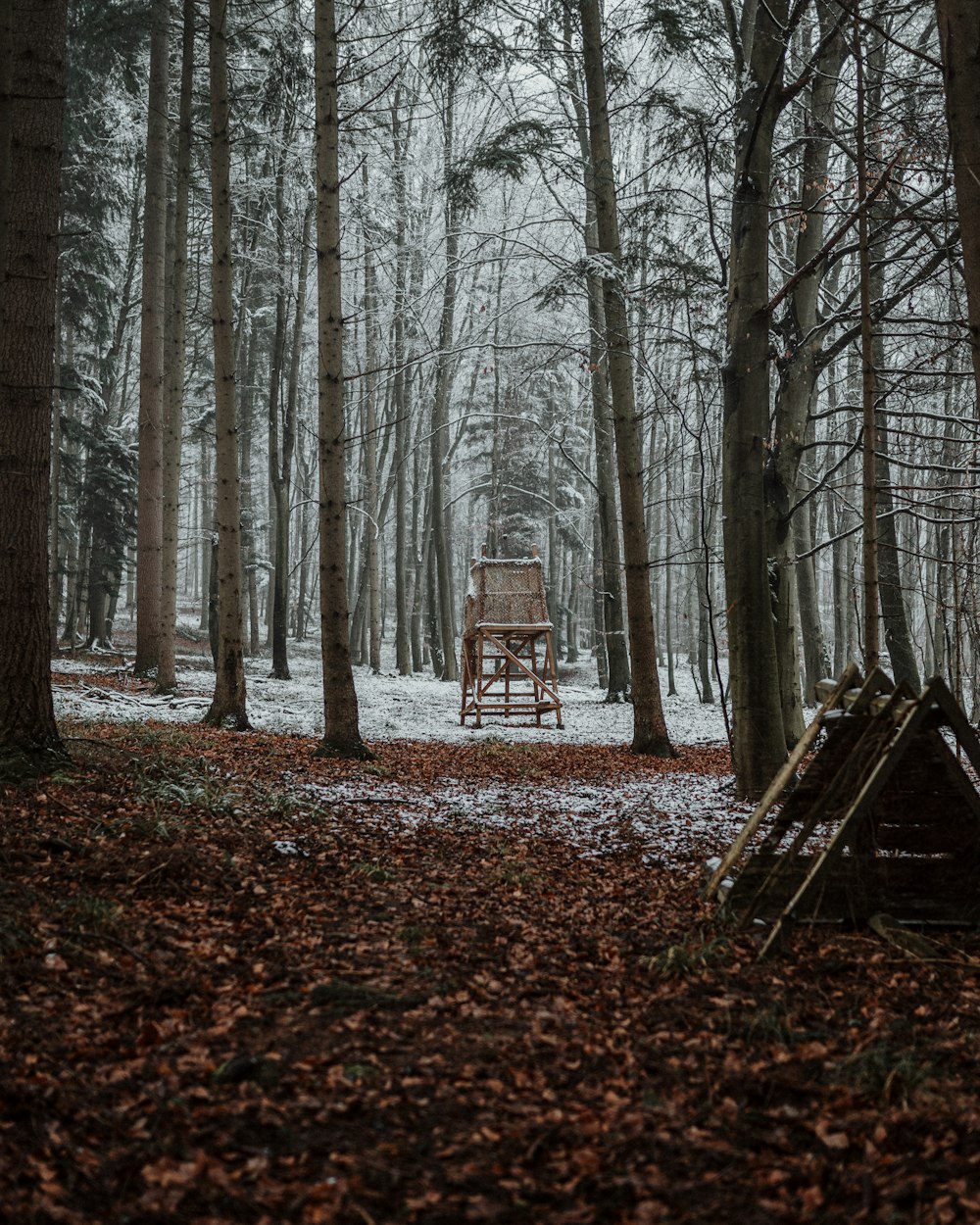 brown wooden bench on forest during daytime