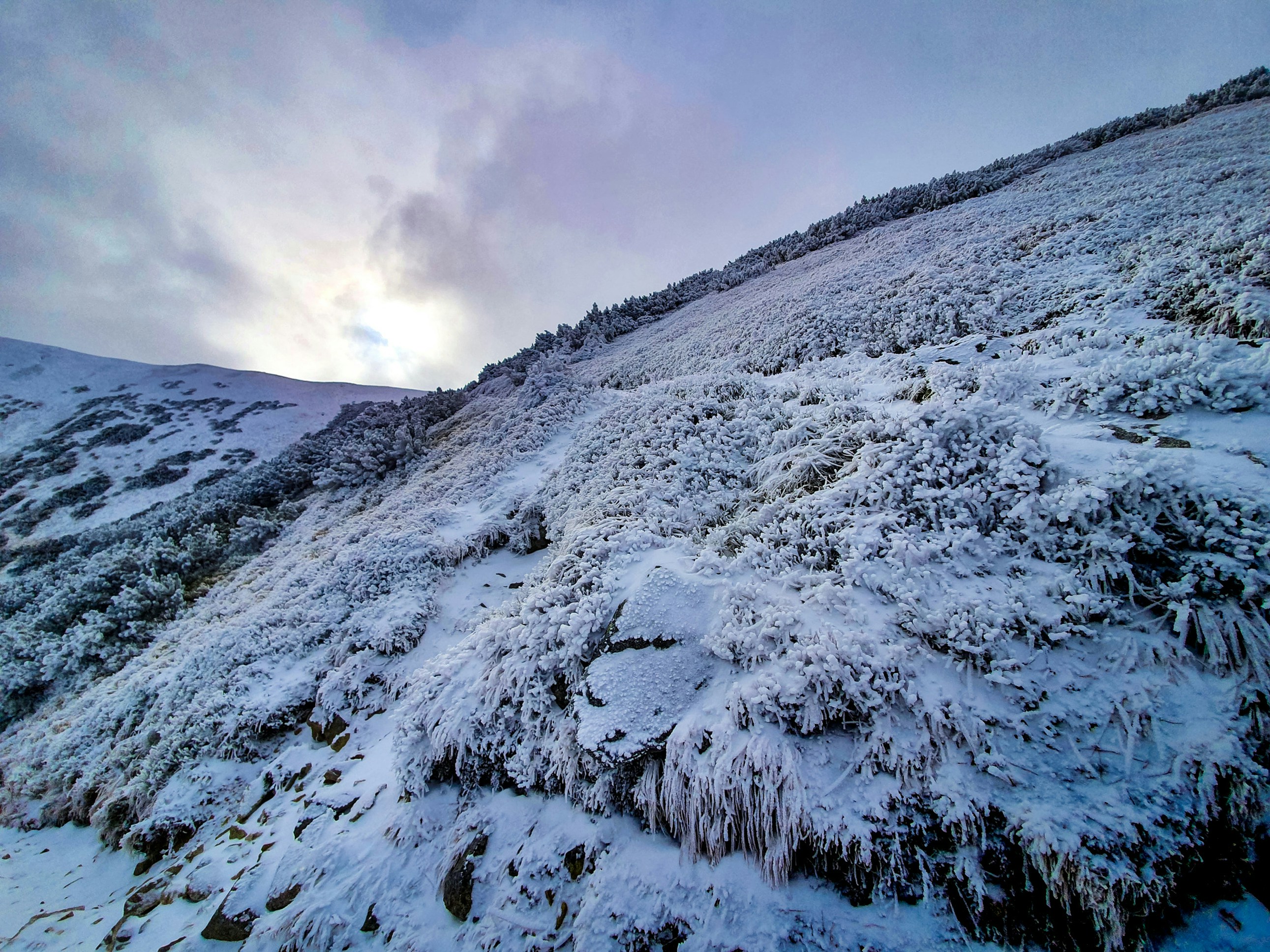 Photo by hanna_orange