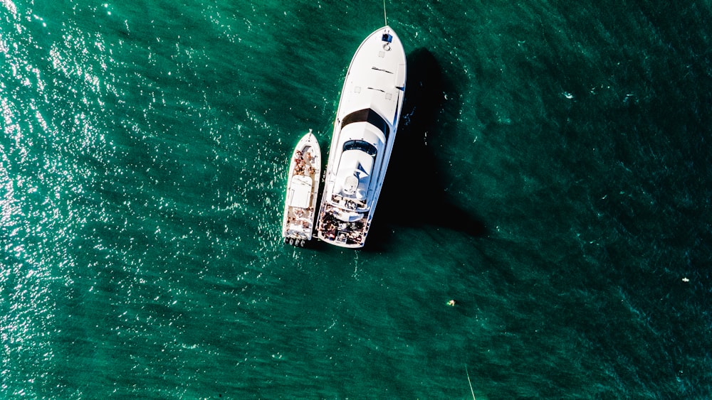 weißes und braunes Boot auf grünem Meer tagsüber