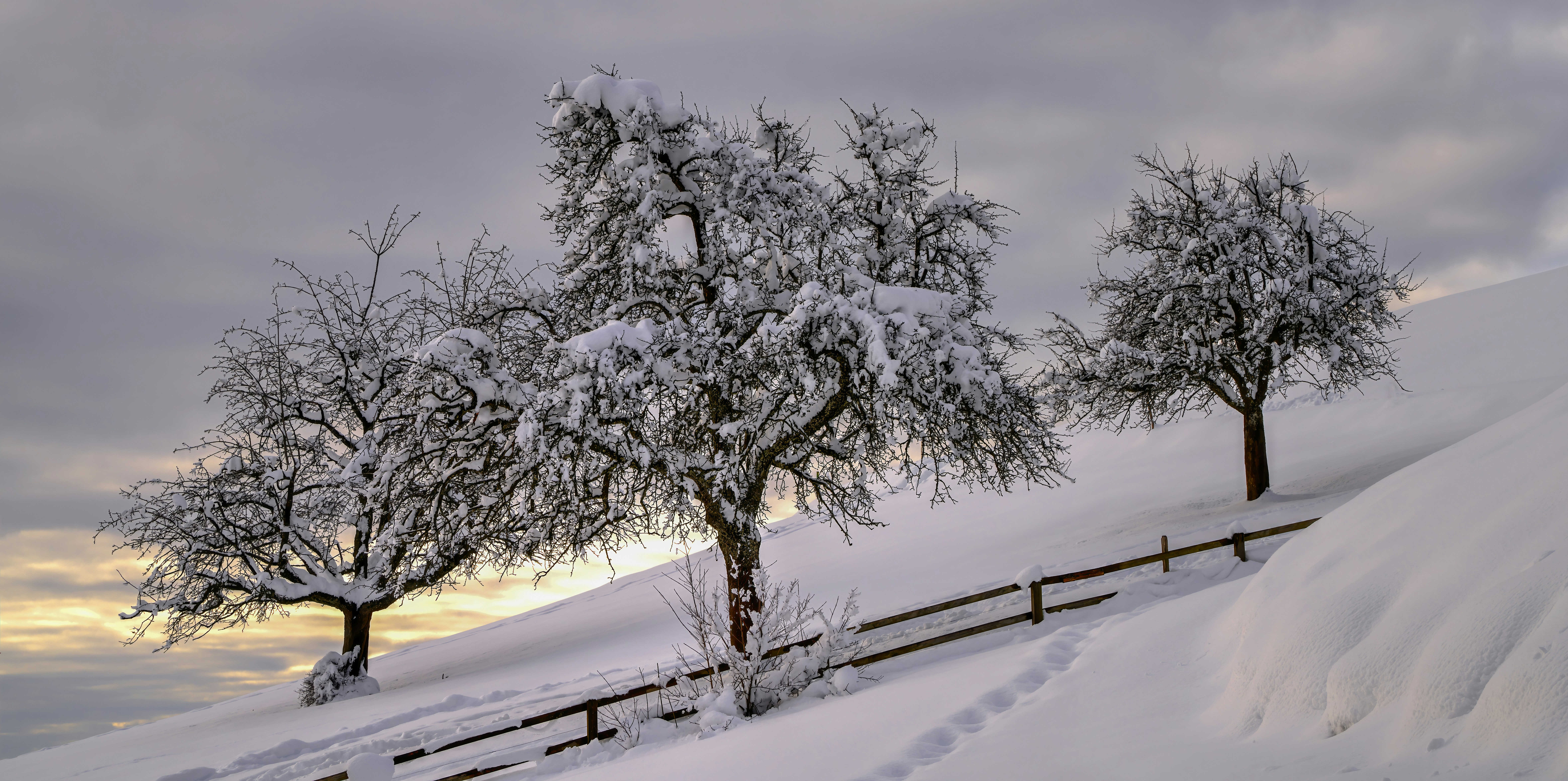 Photo by rgaleriacom