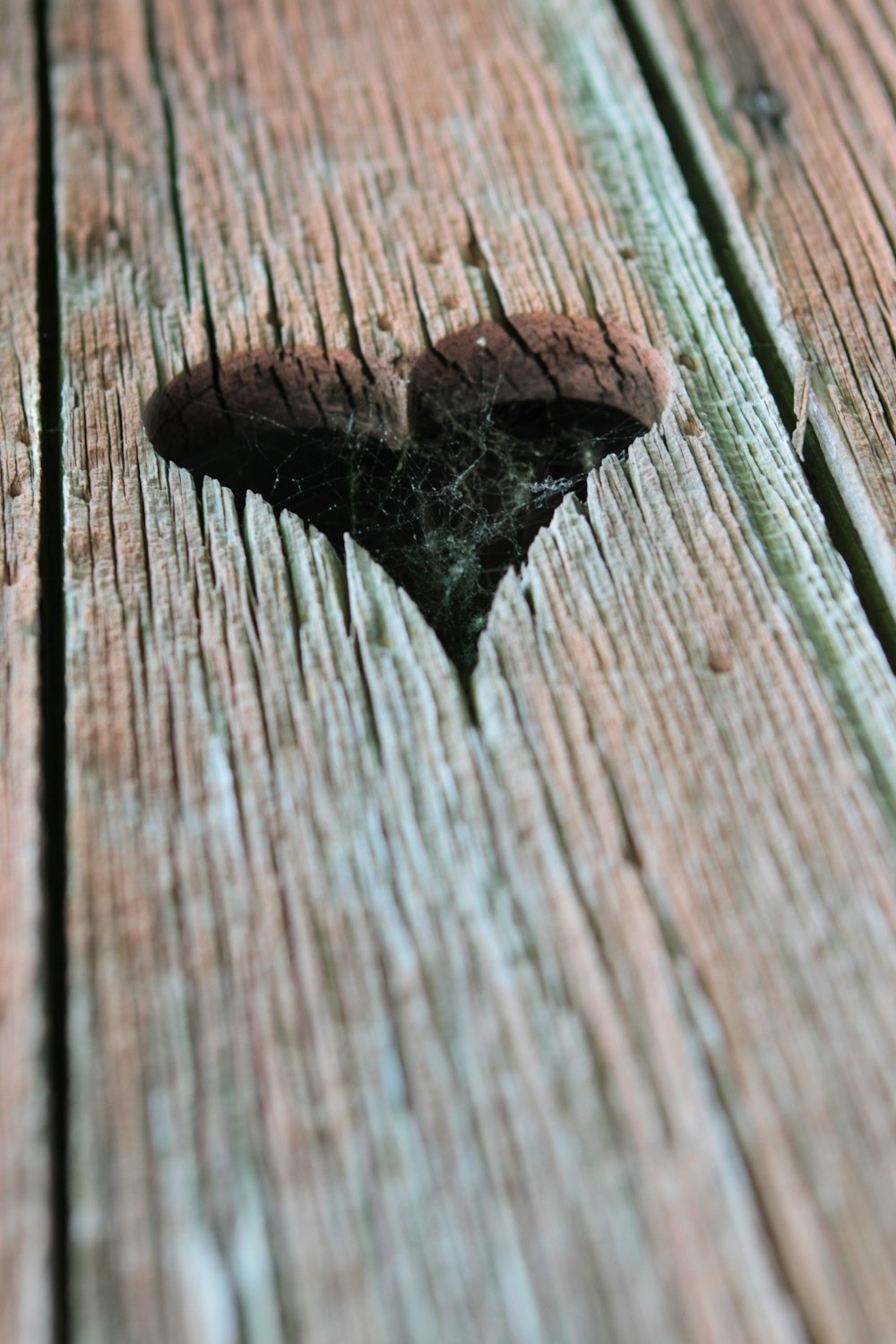 brown wooden surface with black star