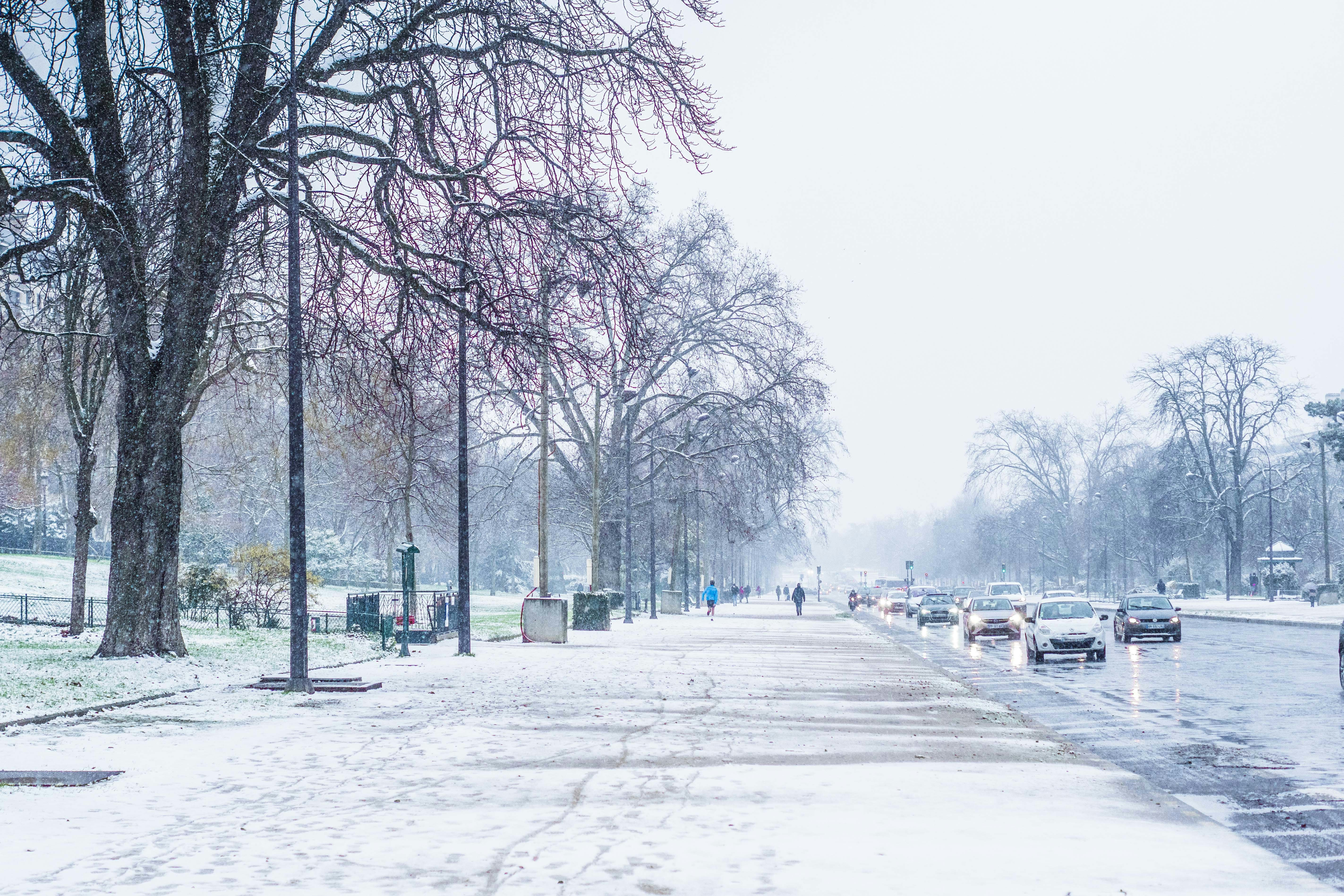 gray concrete road between bare trees during daytime, 