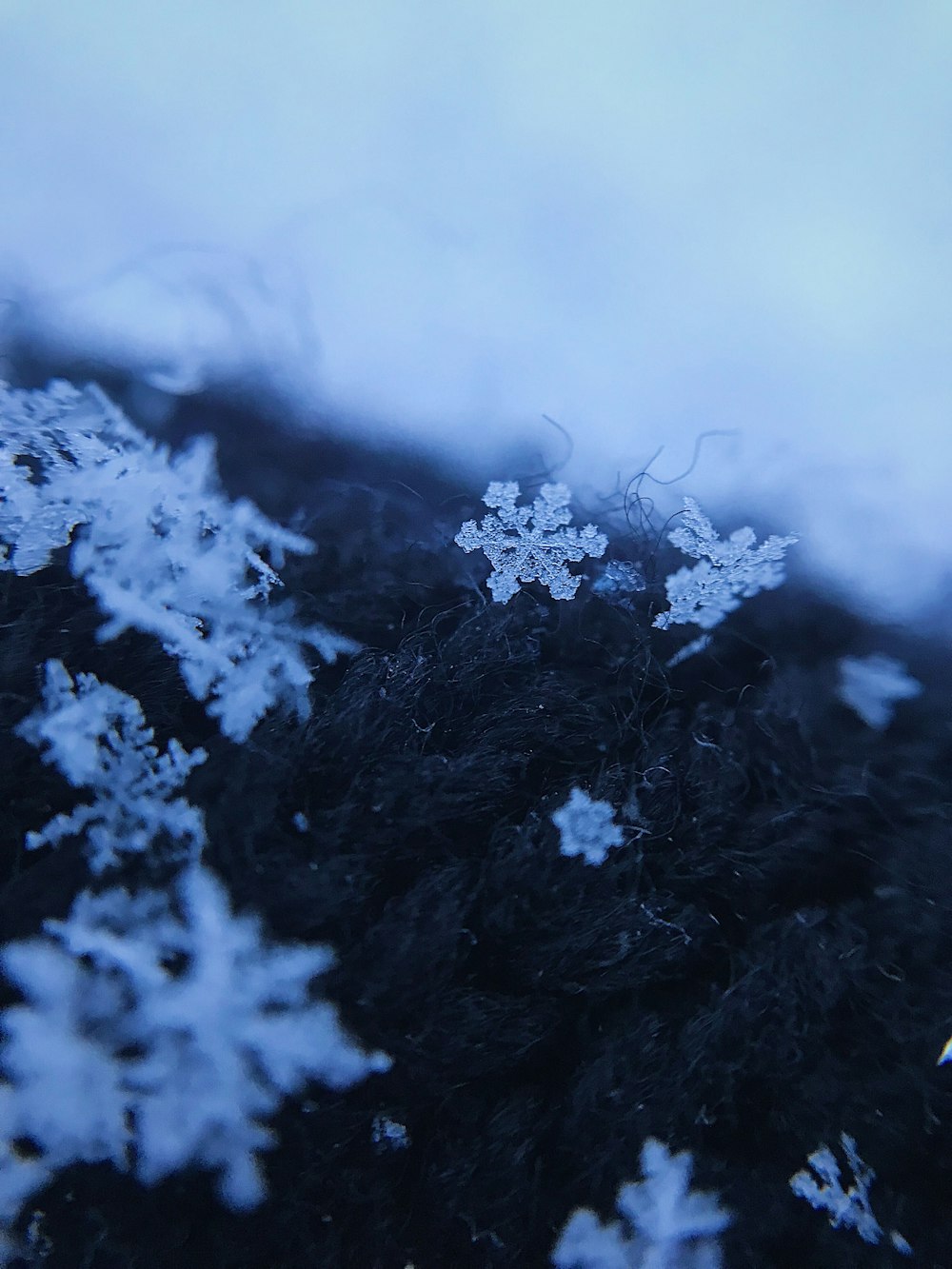 neve bianca su tessuto bianco e nero