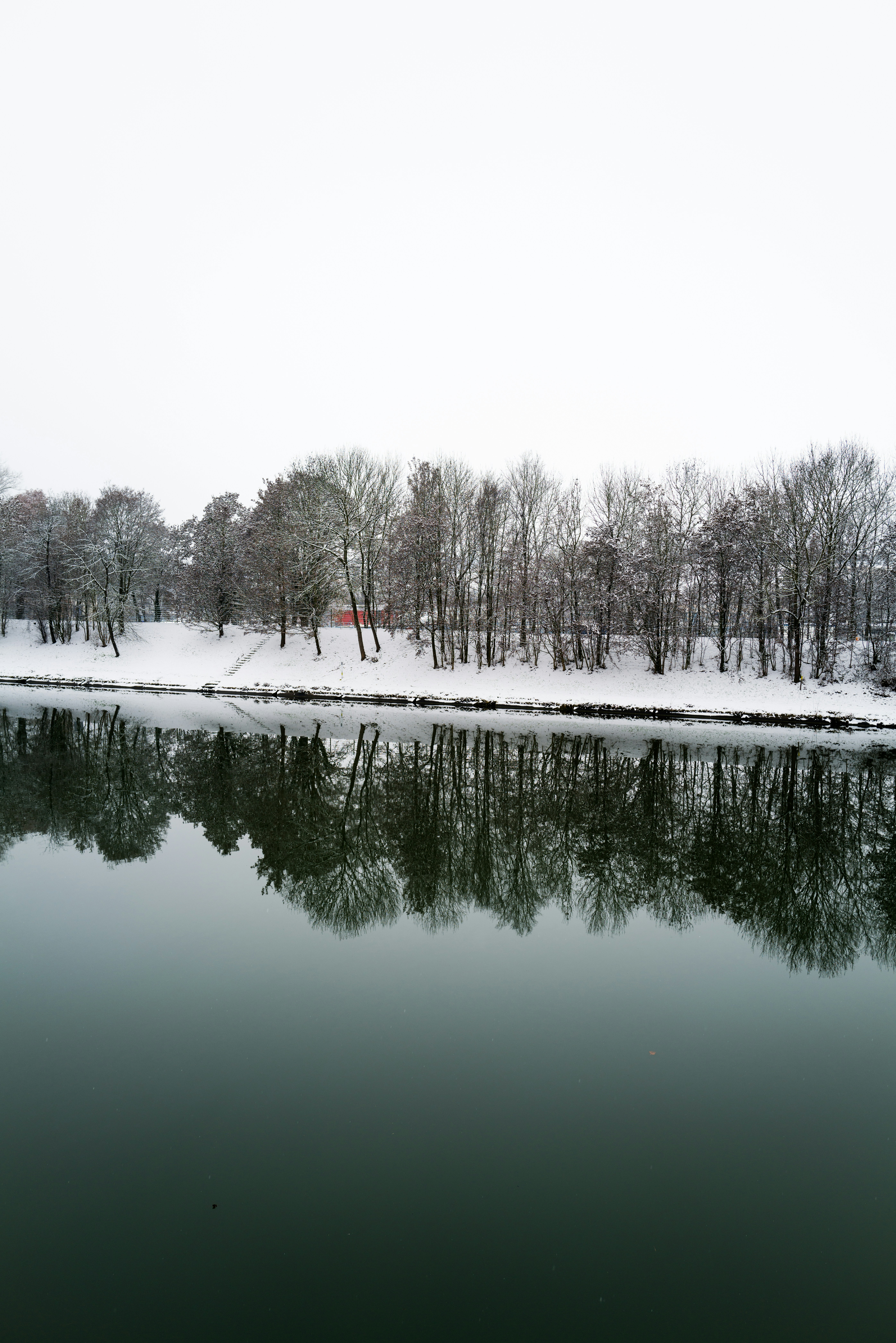 Cuerpo de agua cerca de árboles durante el día