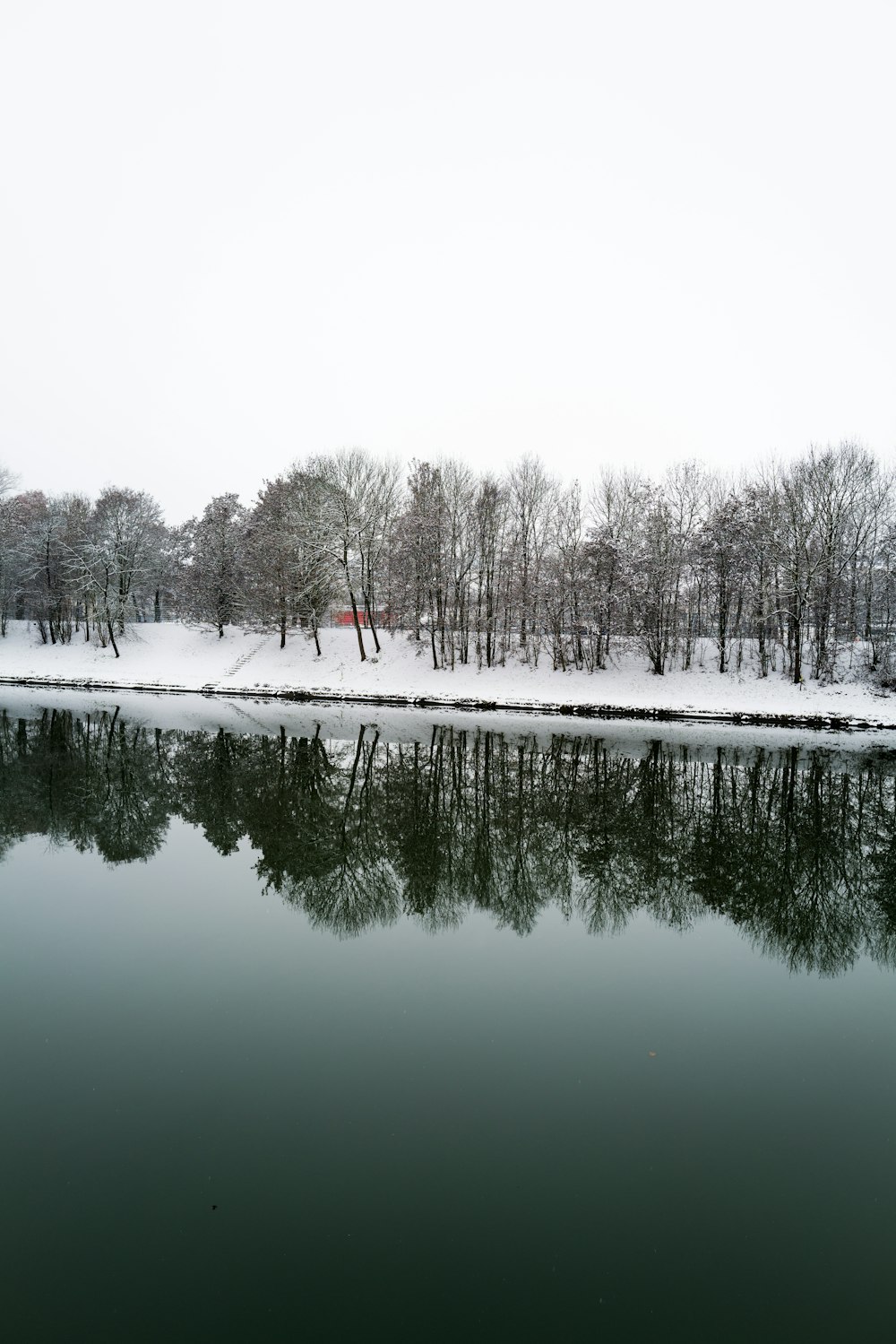 body of water near trees during daytime