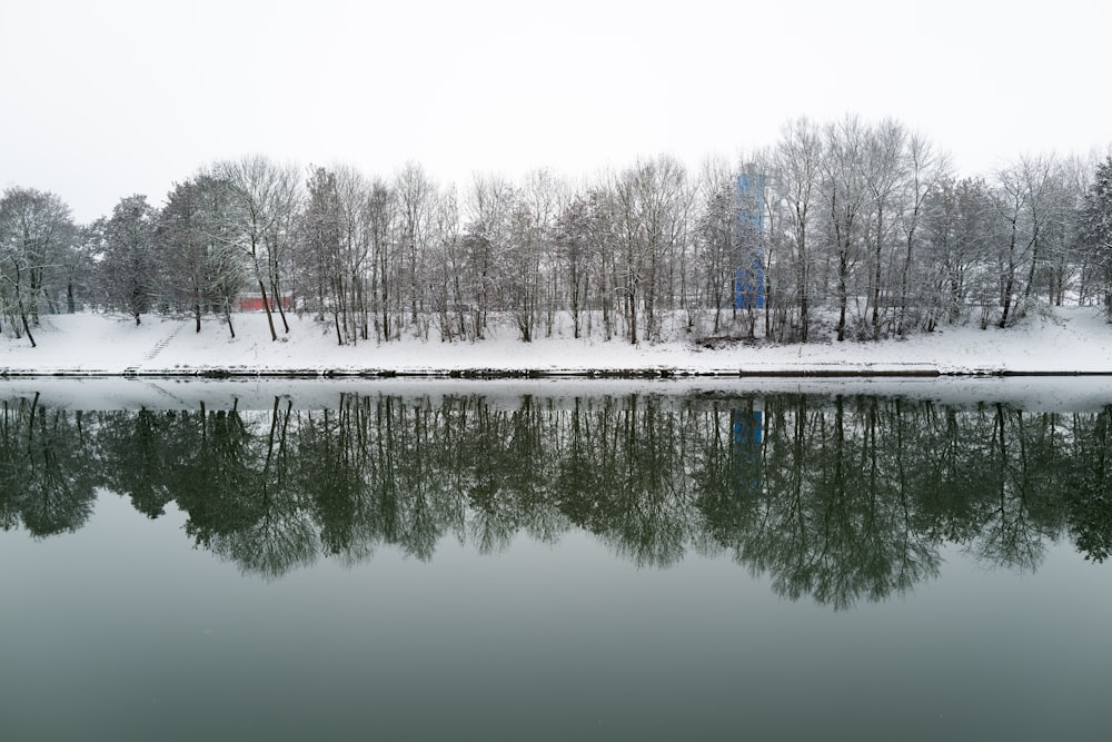 snow covered field and trees near body of water during daytime