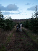 A participant walking alongside a horse on a shaded trail.