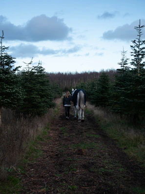 A participant walking alongside a horse on a shaded trail.