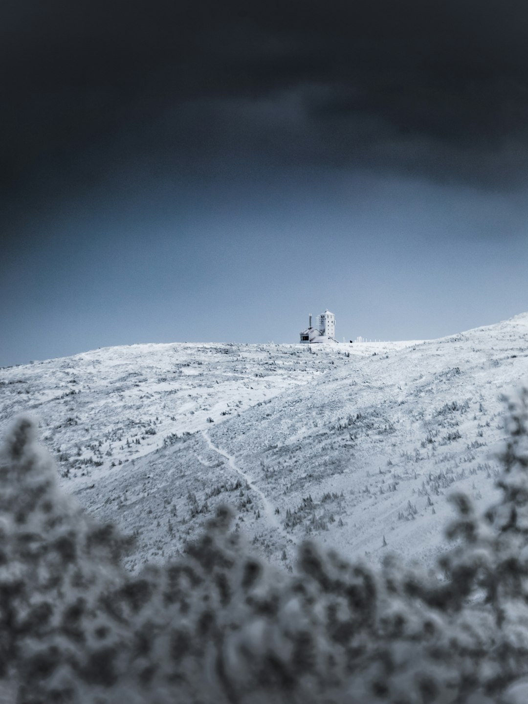 people walking on snow covered mountain during daytime