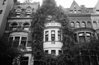 A row of intricately designed old buildings with arched windows and decorative details, covered with lush ivy. The architecture is detailed and historic, reflecting a vintage charm.