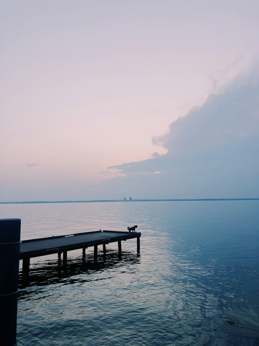 brown wooden dock on blue sea under white sky during daytime