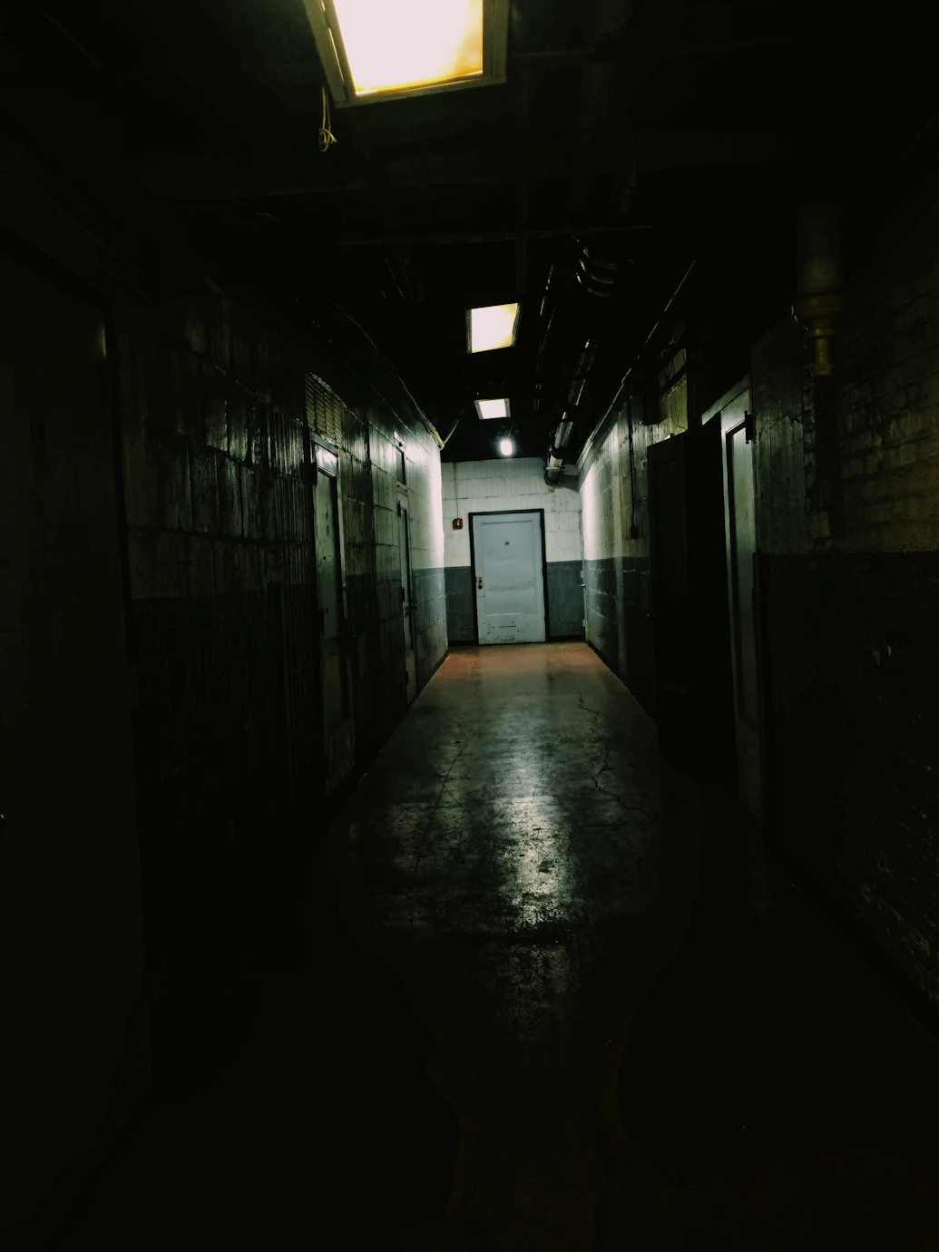 photo-1610997634568-5b6d91505cc0?ixlib=rb-1.2.1&ixid=MnwxMjA3fDB8MHxwaG90by1wYWdlfHx8fGVufDB8fHx8&auto=format&fit=crop&w=1035&q=80