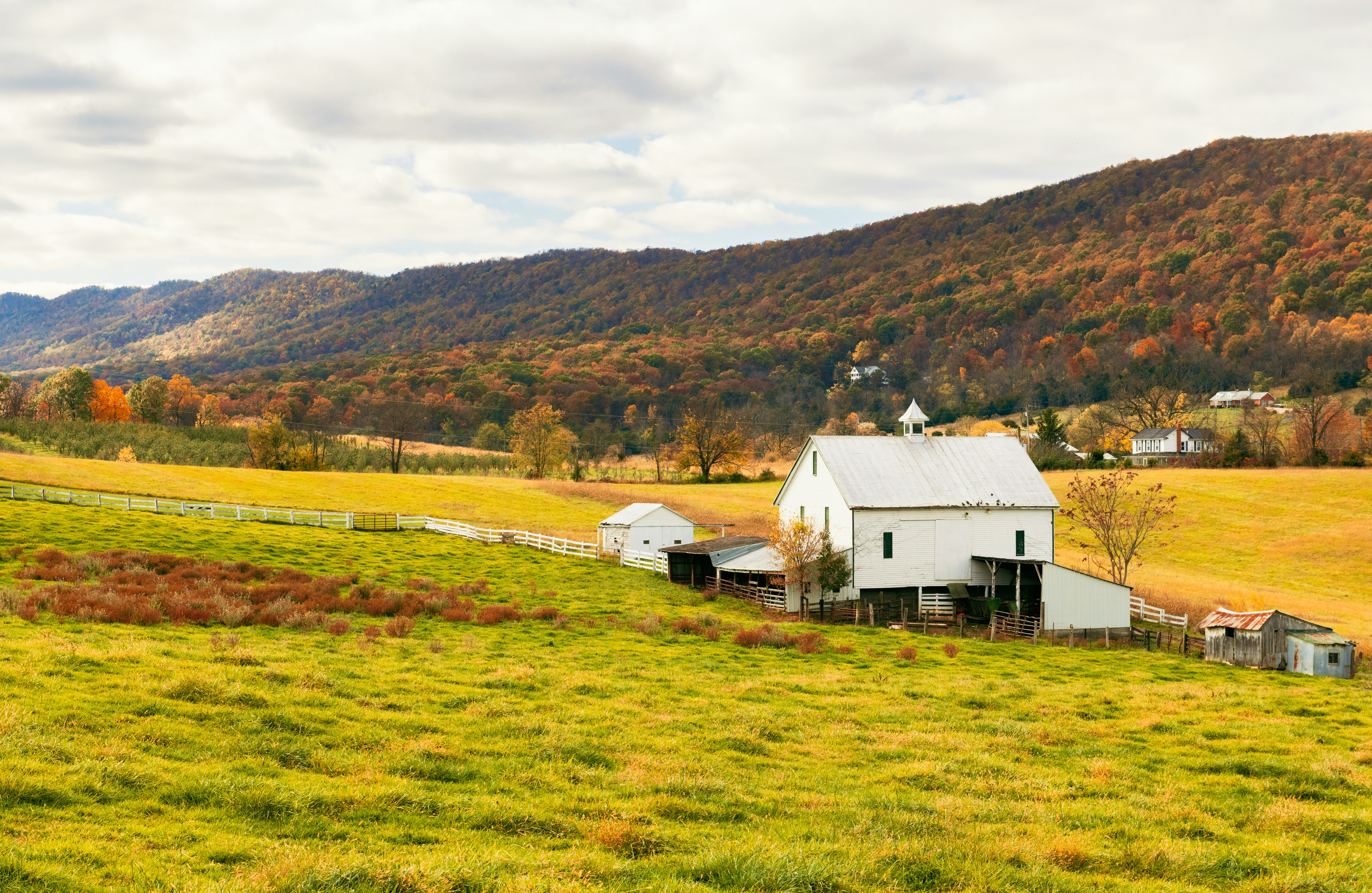 Photo by sriniunsplash