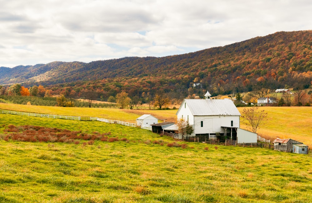 white and brown house on green grass field during daytime