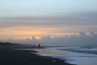 A serene ocean shoreline at dawn with a person sitting quietly, surrounded by calm sea and attentive animals nearby.