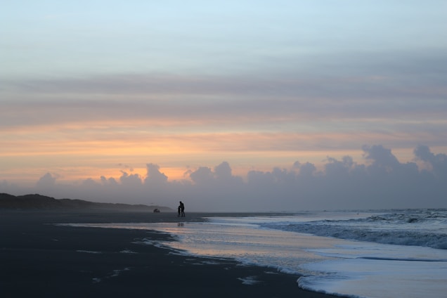 A serene ocean shoreline at dawn with a person sitting quietly, surrounded by calm sea and attentive animals nearby.